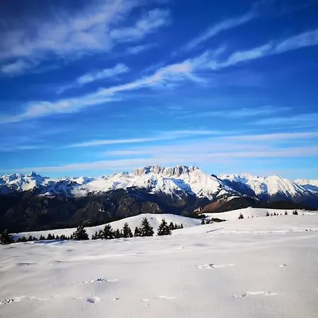 Palazzo Ferro Cerete